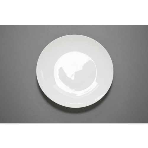 représentation Assiette plate Coupe 28cm